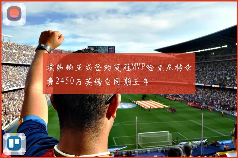 埃弗顿正式签约英冠MVP哈克尼转会费2450万英镑合同期五年