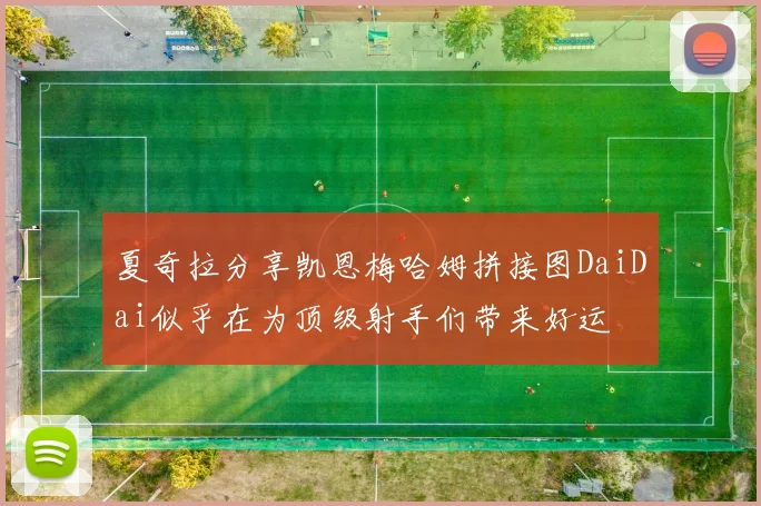 夏奇拉分享凯恩梅哈姆拼接图DaiDai似乎在为顶级射手们带来好运